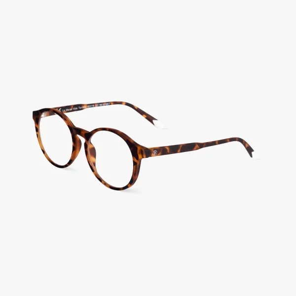 Le Marais Tortoise 2
